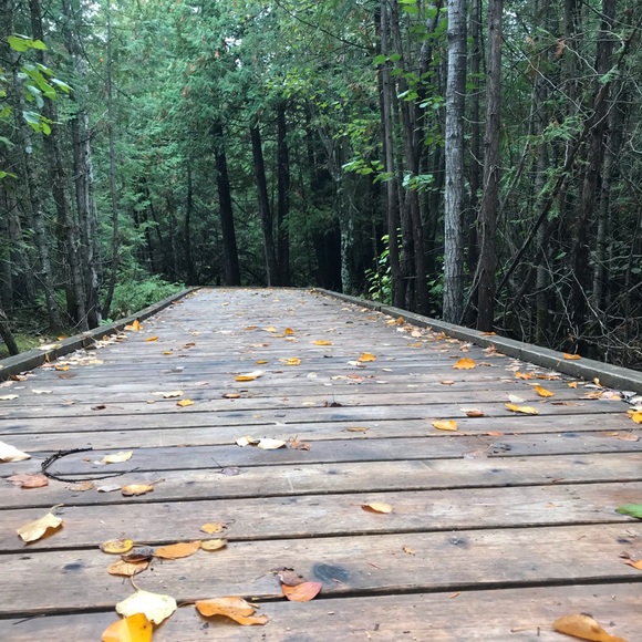 Meet your Posher, Kristen - Picture 1 of 1